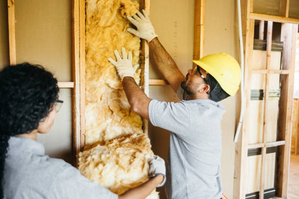 Best Batt and Roll Insulation  in USA